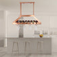 All The Rages Elegant Designs Copper 2-Light LED Overhead Wine Rack Downlight
