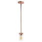 All The Rages Lalia Home 6" Rose Gold Minimal Industrial Farmhouse Adjustable Pendant Light With Clear Cylinder Glass Shade