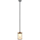 All The Rages Lalia Home 9" Black Farmhouse Adjustable Hanging Cylindrical Clear Glass Pendant With Metal Accents