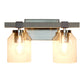 All The Rages Lalia Home Barnlit Brushed Nickel & Gray 2-Light Vanity Light With Clear Glass Shades