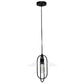 All The Rages Lalia Home Black Elongated Metal Pendant Light