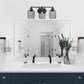 All The Rages Lalia Home Black Ironhouse 3-Light Vanity Light With Industrial Decorative Cage Shades