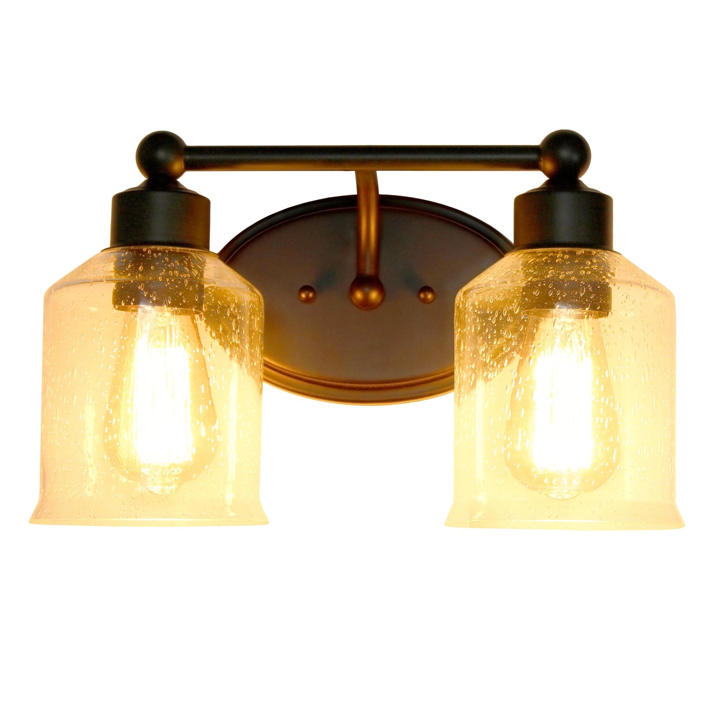 All The Rages Lalia Home Black Studio Loft Modern 2-Light Metal Vanity Light With Clear Seeded Glass Shades
