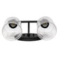 All The Rages Lalia Home Black Studio Loft Modern 2-Light Metal Vanity Light With Clear Seeded Glass Shades