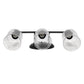 All The Rages Lalia Home Black Studio Loft Modern 3-Light Metal Vanity Light With Clear Seeded Glass Shades