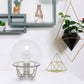 All The Rages Lalia Home Brushed Nickel Old World Globe Glass Table Lamp