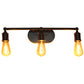 All The Rages Lalia Home Matte Black 3-Light Industrial Metal Vanity Light