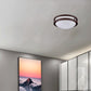 Amax Lighting 10" 15W LED Dimmable Bronze Flush Mount Lighting