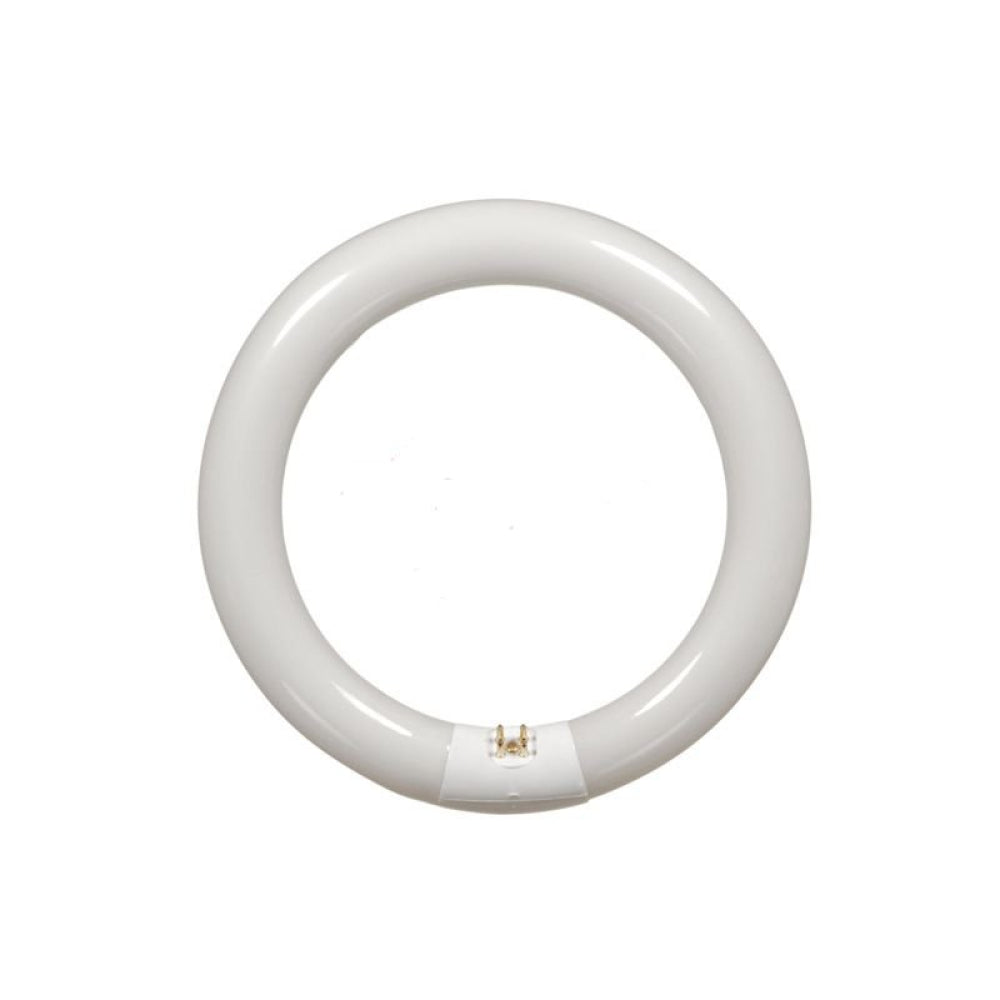 American Imaginations AI-36970 Round Cool White FC12T9 Circline – Lamps ...