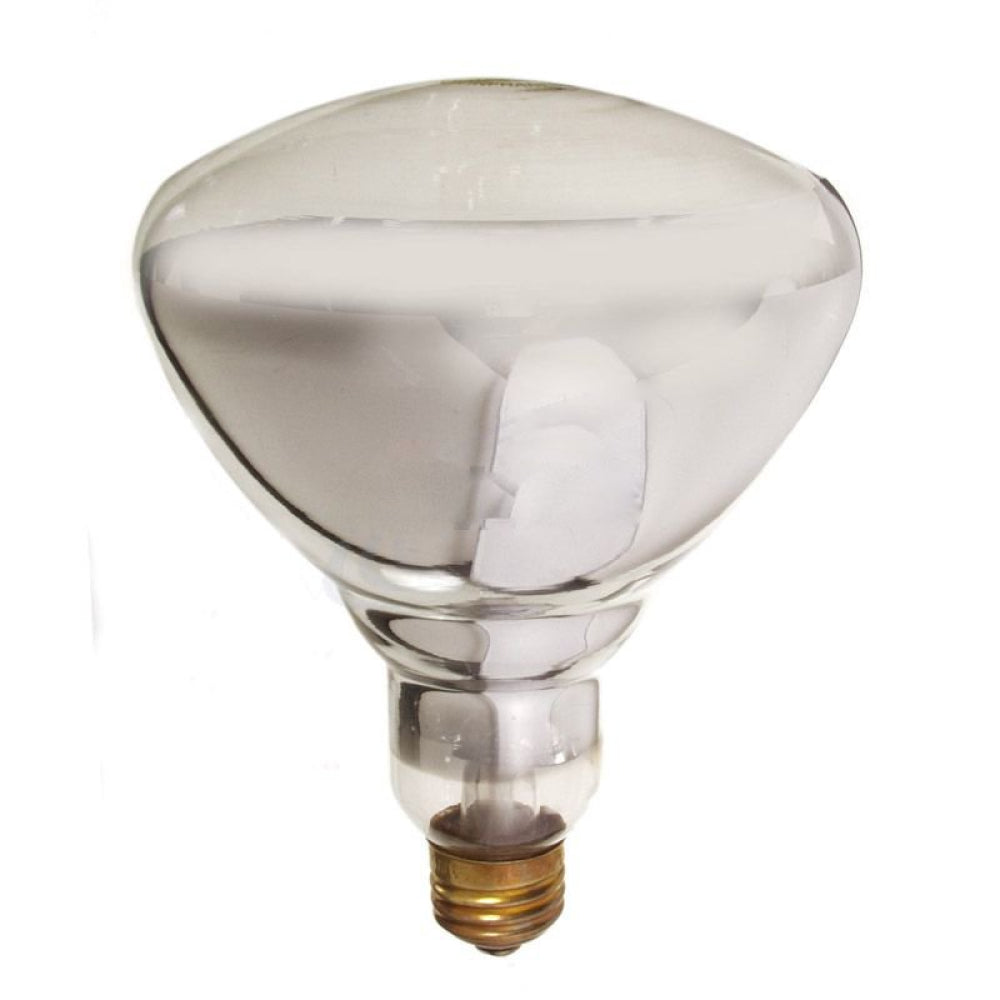 American Imaginations AI-37516 130V Round Clear Light Bulb