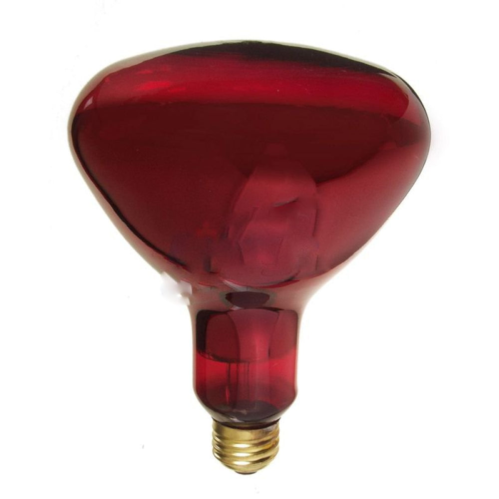 American Imaginations AI-37518 130V Round Red Light Bulb