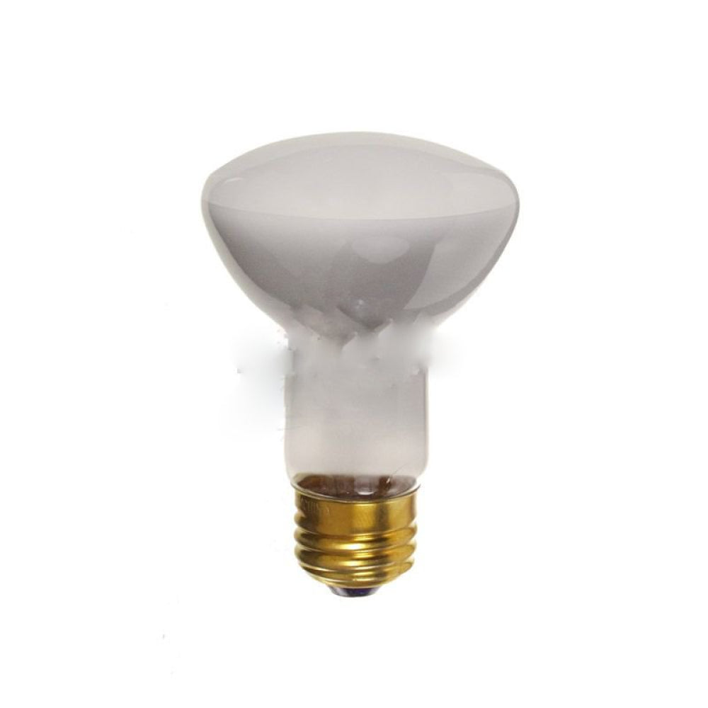 American Imaginations AI-37642 120V Round Grey Light Bulb