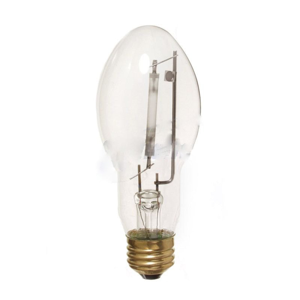 American Imaginations AI-37698 Oval Warm White Light Bulb