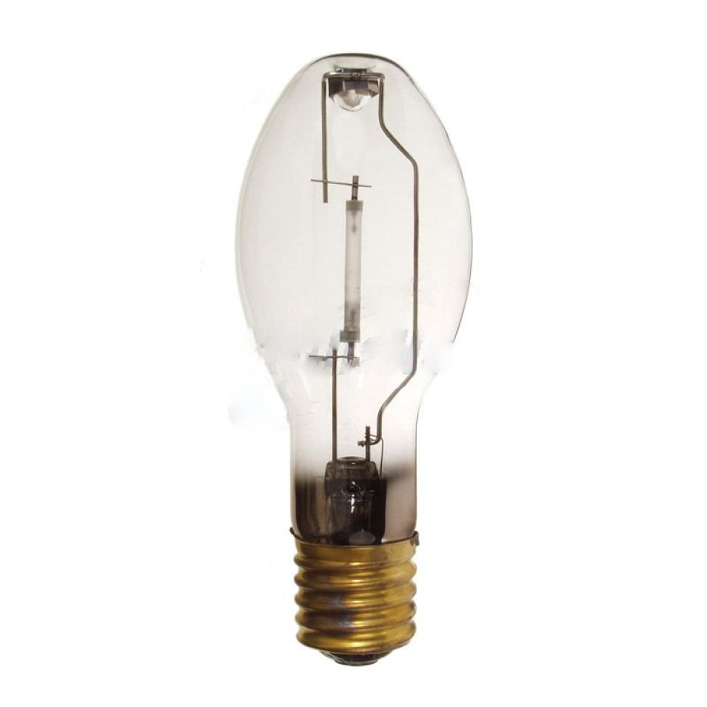 American Imaginations AI-37700 Oval Warm White Light Bulb