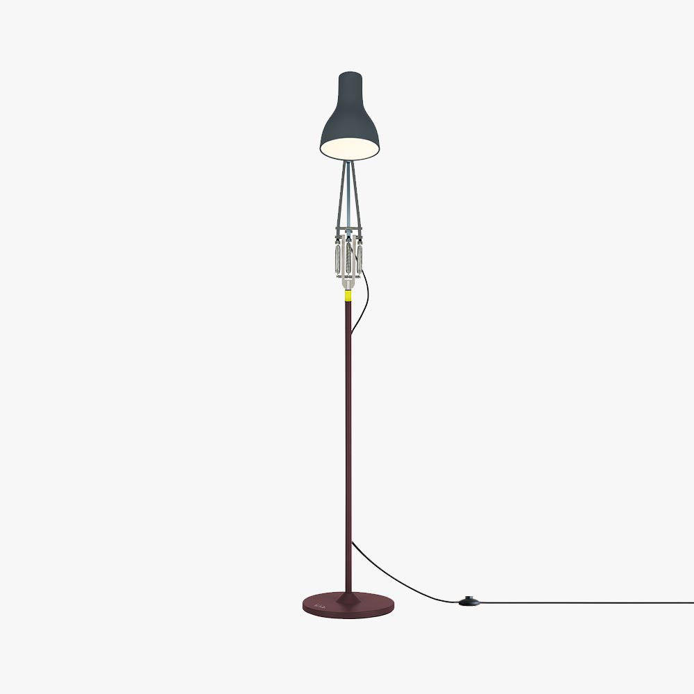 Anglepoise Type 75 Paul Smith Edition 4 Floor Lamp