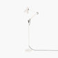 Anglepoise Type 75 Paul Smith Edition 6 Floor Lamp
