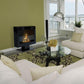 Anywhere Fireplace Tribeca II Black Freestanding Bio-ethanol Liquid Fuel Fireplace