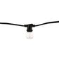 Bulbrite 10 Sockets Kit Black with LED 4W G16 Clear E12 Lamps 14' String Light
