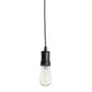 Bulbrite 4W LED ST18 2200K Curved Filament Nostalgic 1890 Contemporary Black Pendant
