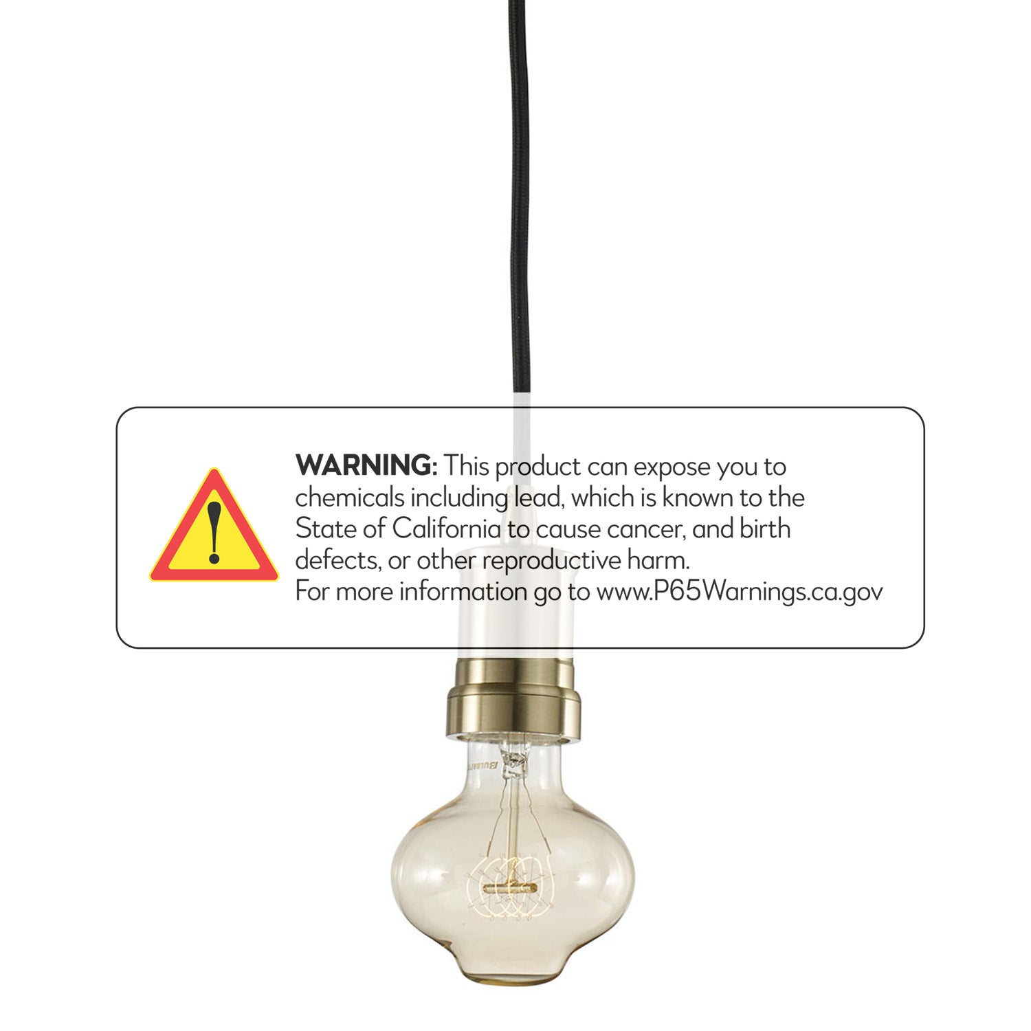 Bulbrite Contemporary Warm Gold Pendant with 40W BT27 Nostalgic Loop E26 130V