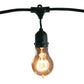Bulbrite Nostalgic A19 Lamps 48' String Light