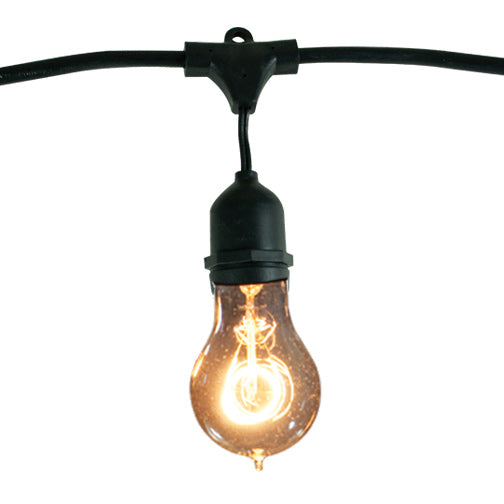 Bulbrite Nostalgic A19 Lamps 48' String Light