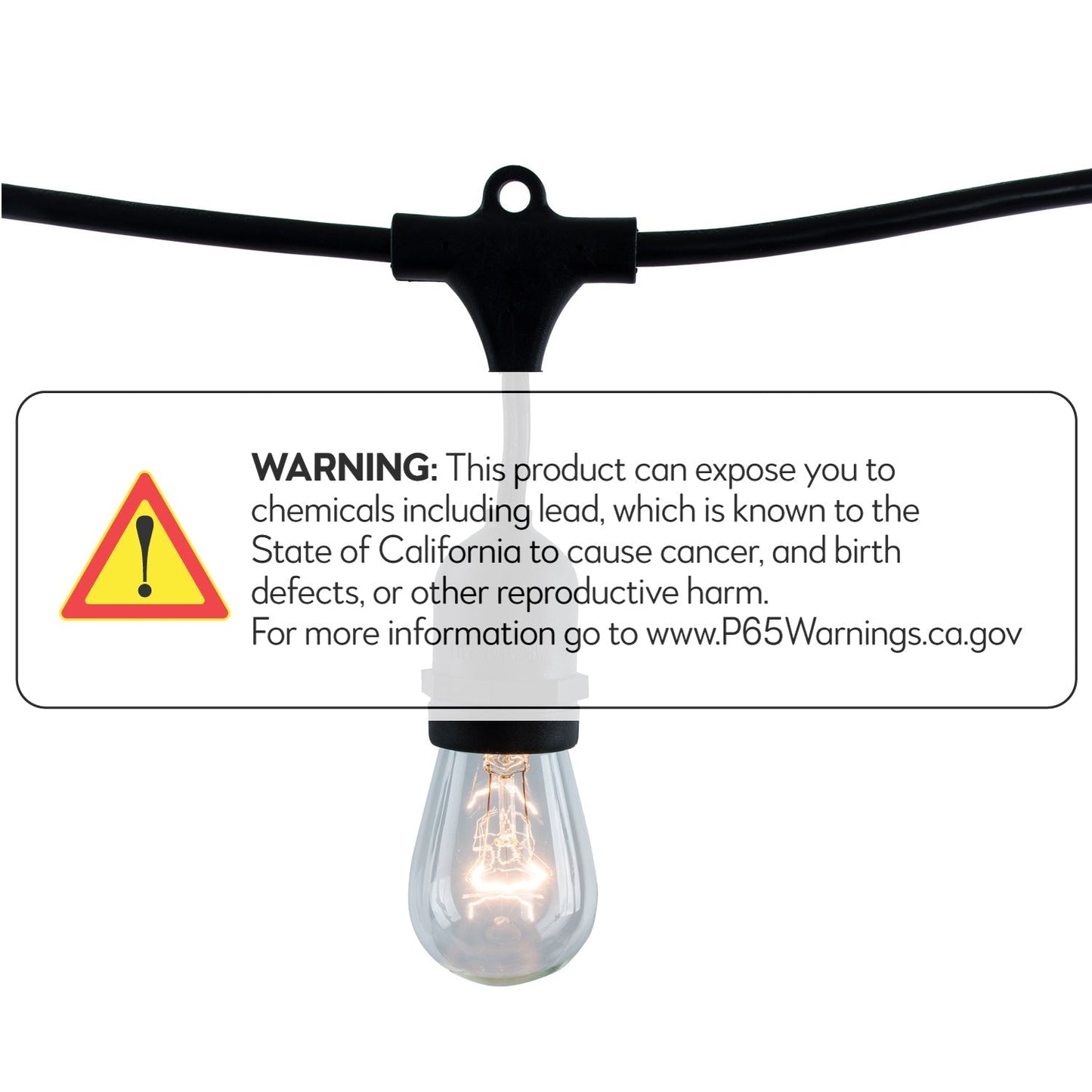 Bulbrite S14 Lamps 8' String Light