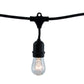 Bulbrite S14 Lamps 8' String Light