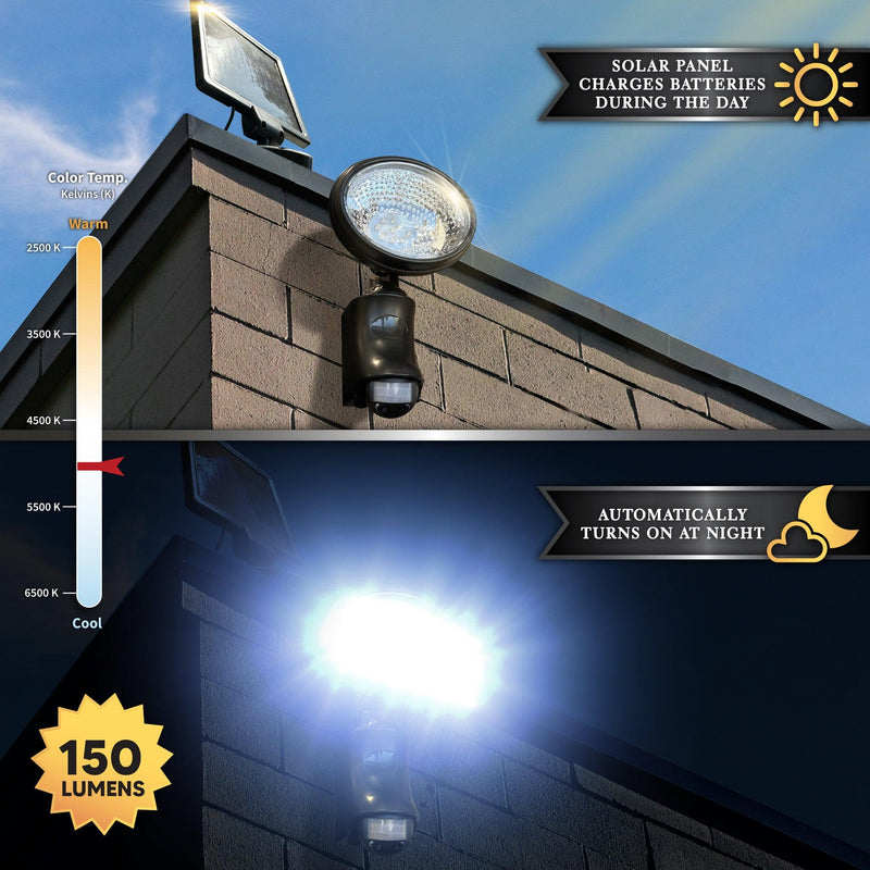 Classy Caps Black ABS Solar Motion Sensor Security Light