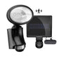 Classy Caps Black ABS Solar Motion Sensor Security Light
