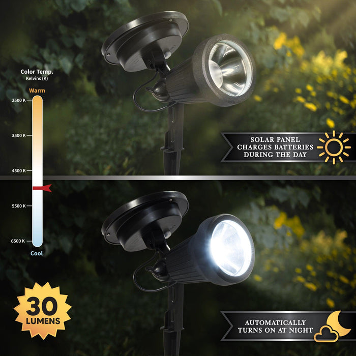 Classy Caps Black High Performance Solar Spotlight