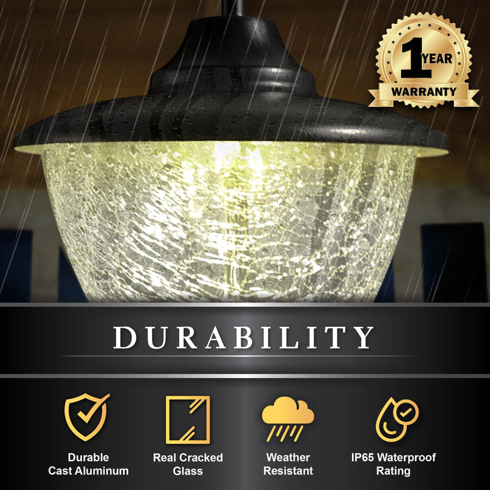 Classy Caps Eclipse Black Solar Hanging Chandelier