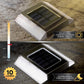 Classy Caps Stainless Steel Solar Path Light