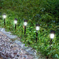 Costway 10 pcs. Garden Outdoor LED Solar Lawn Light