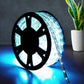 Costway 100' 2 Wires Cool White LED Christmas Decorative Rope Light