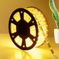 Costway 100' 2 Wires Warm White LED Christmas Decorative Rope Light