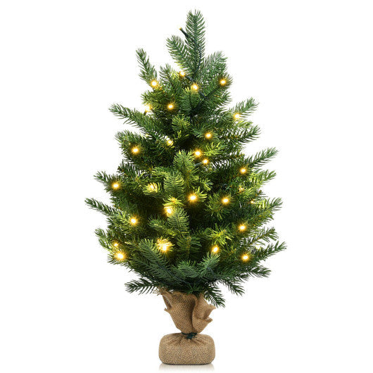 Costway 24" Pre-Lit Cordless Artificial Snow Flocked Christmas Pine Wreath with LED lights