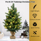 Costway 24" Tabletop Fir Artificial Christmas Tree with LED Lights