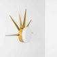 Design for Macha Solare Classic Ceiling or Wall-Mounted Chromed Lucid Six-Armed Brass Lamp