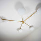 Design for Macha Stella Starfish Ceiling or Wall-Mounted Chromed Opaque Five-Armed Brass Lamp