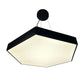 EQ Light Itze 31" Black 76-Watt Integrated LED Hexagonal Pendant