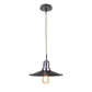 EQ Light Ixtab 12" Black Industrial Pendant Light