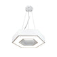 EQ Light Zazil 16" White Hexagonal Pendant Light