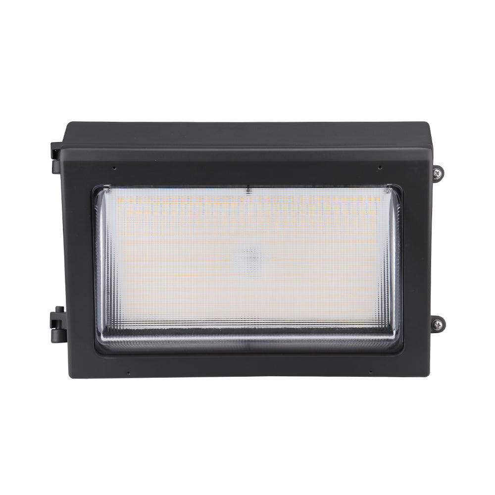 Euri Lighting 14" Dimmable 16-80W LED Traditional Wall Pack Light