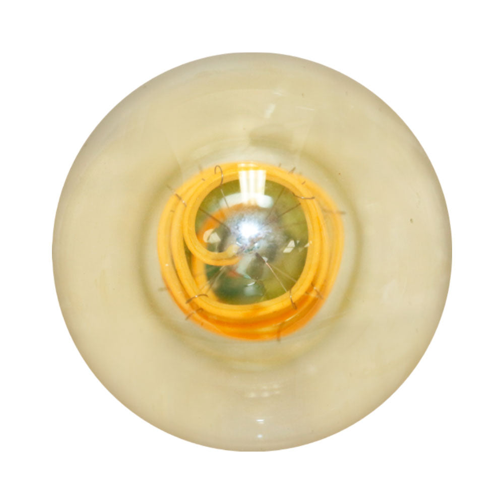 Euri Lighting 5W Omni-Directional Dimmable 2200K LED Filament Bulb With Amber Glass Body