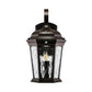 Euri Lighting 9" x 15" 230W Bronze Outdoor Wall Lantern With Water Glass Lens