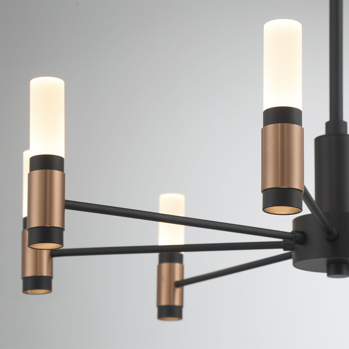 Eurofase Lighting Albany 24" 8-Light Dimmable Integrated LED Brass & Black Chandelier