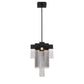 Eurofase Lighting Bloomfield 12" 2-Light Dimmable Integrated LED Metal Black Pendant Light With Black Metal Chain Waterfall Accent