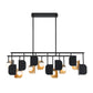 Eurofase Lighting Cornice 60" 14-Light Integrated LED Glass Shade Gold and Black Steel Chandelier