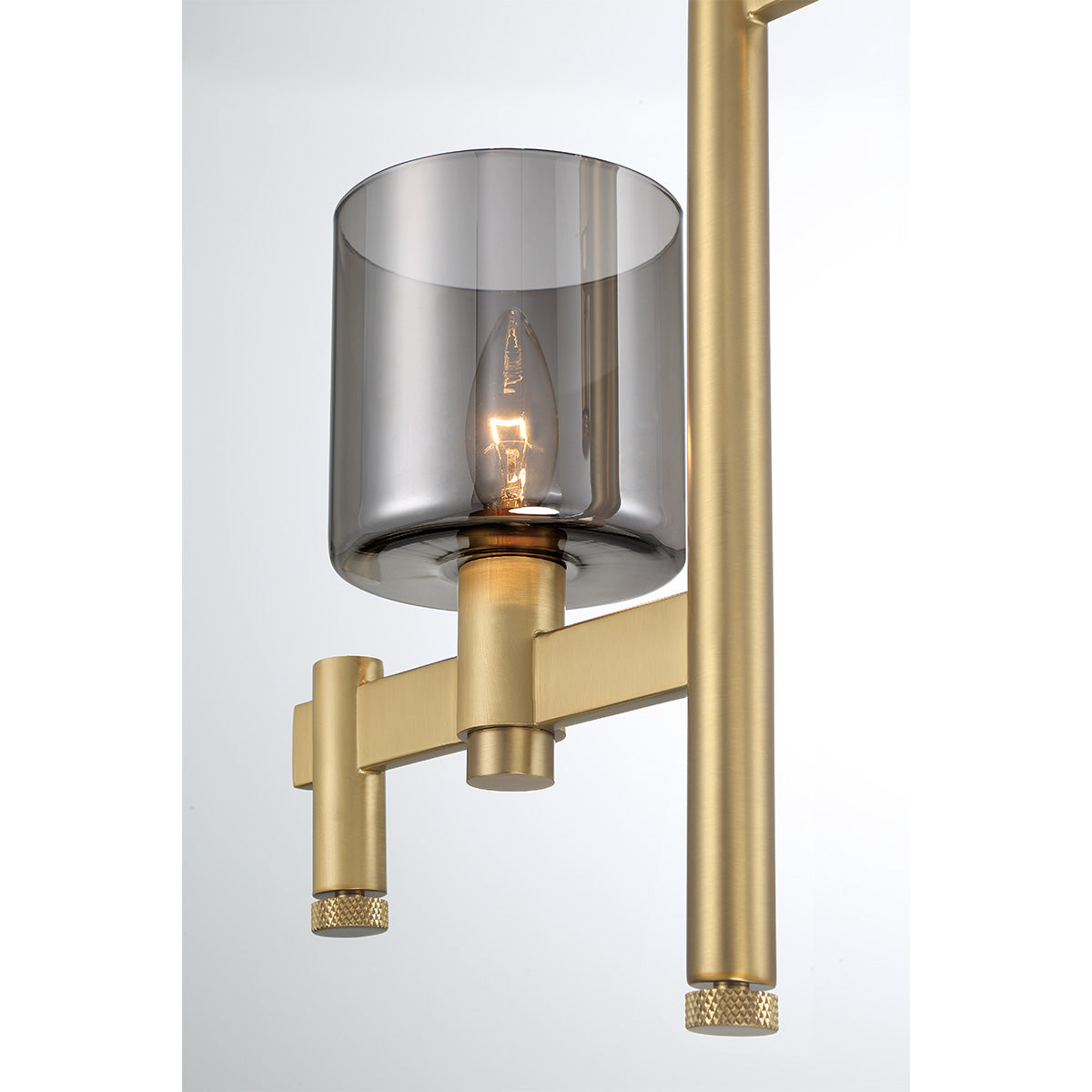 Eurofase Lighting Decato 22" 2-Light Smoke Glass Shade Gold Iron Pendant Chandelier
